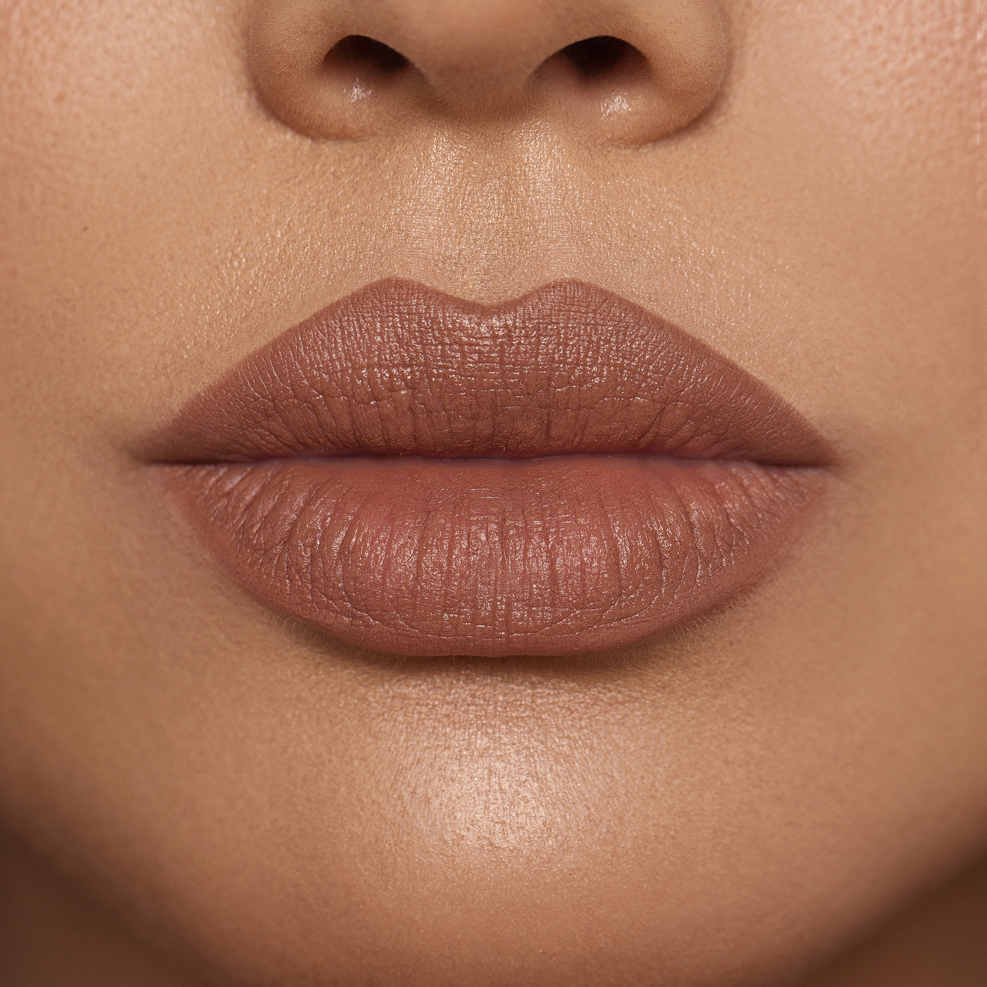 MONOCHROME MOMENT LIP CRAYON (LÁPIZ LABIAL)